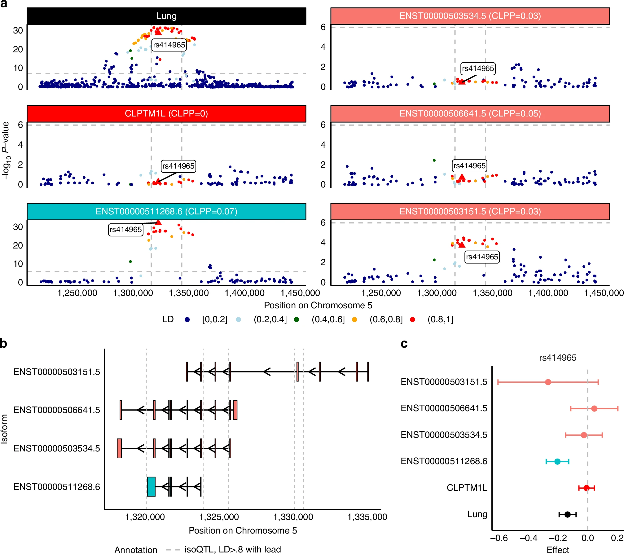 Isoform-level analyses of 6 cancers uncover extensive genetic risk mechanisms undetected at the gene level