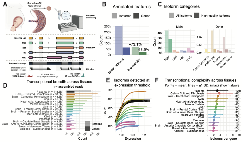 Long-read transcriptome assembly reveals vast transcriptional complexity in the placenta associated with metabolic and endocrine function